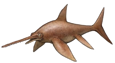 Eurhinosaurus | Dinopedia | Fandom
